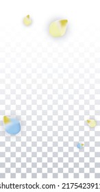 Vector Realistic Colorful Petals Falling on Transparent Background.  Spring Romantic Flowers Illustration. Flying Petals. Sakura Spa Design.  Blossom Confetti. Design Elements for  Poster Design. 