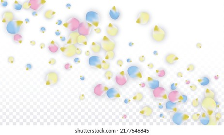 Vector Realistic Colorful Petals Falling on Transparent Background.  Spring Romantic Flowers Illustration. Flying Petals. Sakura Spa Design.  Blossom Confetti. Design Elements for  Mother's Day.