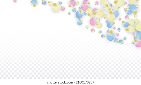 Vector Realistic Colorful Petals Falling on Transparent Background.  Spring Romantic Flowers Illustration. Flying Petals. Sakura Spa Design.  Blossom Confetti. Design Elements for  Wedding Decoration.