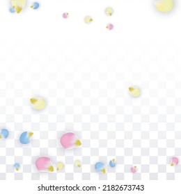 Vector Realistic Colorful Petals Falling on Transparent Background.  Spring Romantic Flowers Illustration. Flying Petals. Sakura Spa Design.  Blossom Confetti. Design Elements for  Wedding Decoration.