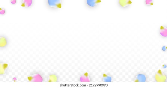 Vector Realistic Colorful Petals Falling on Transparent Background.  Spring Romantic Flowers Illustration. Flying Petals. Sakura Spa Design.  Blossom Confetti. Design Elements for  Mother's Day.