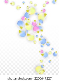 Vector Realistic Colorful Petals Falling on Transparent Background.  Spring Romantic Flowers Illustration. Flying Petals. Sakura Spa Design.  Blossom Confetti. Design Elements for  Poster Design. 