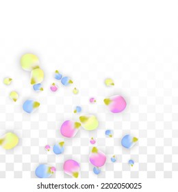 Vector Realistic Colorful Petals Falling on Transparent Background.  Spring Romantic Flowers Illustration. Flying Petals. Sakura Spa Design.  Blossom Confetti. Design Elements for  St. Valentine Day.