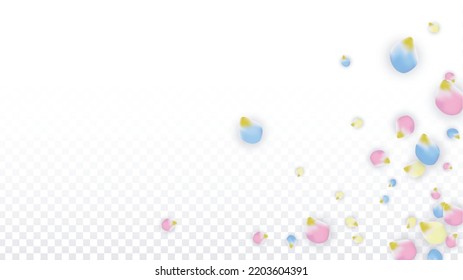 Vector Realistic Colorful Petals Falling on Transparent Background.  Spring Romantic Flowers Illustration. Flying Petals. Sakura Spa Design.  Blossom Confetti. Design Elements for  Poster Design. 