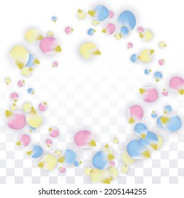 Vector Realistic Colorful Petals Falling on Transparent Background.  Spring Romantic Flowers Illustration. Flying Petals. Sakura Spa Design.  Blossom Confetti. Design Elements for  Poster Design. 