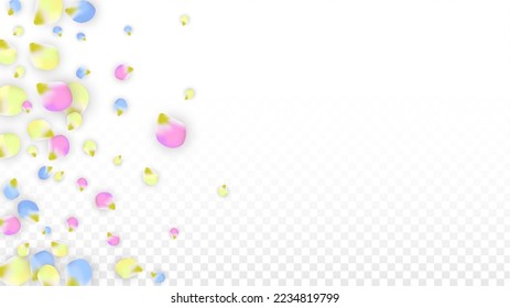 Vector Realistic Colorful Petals Falling on Transparent Background.  Spring Romantic Flowers Illustration. Flying Petals. Sakura Spa Design.  Blossom Confetti. Design Elements for  Wedding Decoration.