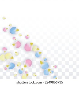 Vector Realistic Colorful Petals Falling on Transparent Background.  Spring Romantic Flowers Illustration. Flying Petals. Sakura Spa Design.  Blossom Confetti. Design Elements for  Poster Design. 
