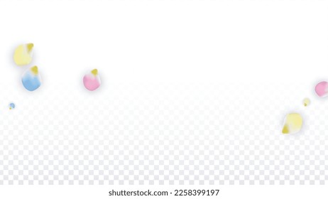 Vector Realistic Colorful Petals Falling on Transparent Background.  Spring Romantic Flowers Illustration. Flying Petals. Sakura Spa Design.  Blossom Confetti. Design Elements for  Mother's Day.