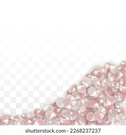 Vector Realistic Colorful Petals Falling on Transparent Background. Spring Romantic Flowers Illustration. Flying Petals. Sakura Spa Design. Blossom Confetti. Design Elements for Wedding Decoration.