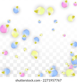 Vector Realistic Colorful Petals Falling on Transparent Background.  Spring Romantic Flowers Illustration. Flying Petals. Sakura Spa Design.  Blossom Confetti. Design Elements for  Wedding Decoration.