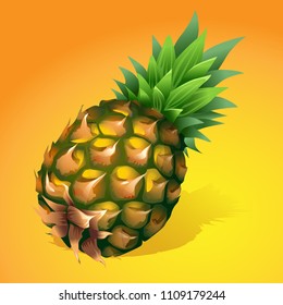 vector realistic colorful pineapple fruit yellow