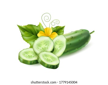 Vector realistic cucumber with green stem leaves and flowers. Organic vegetable package design element. Healthy fresh cucumber slices with haulm. Agricultural product, seeds design.