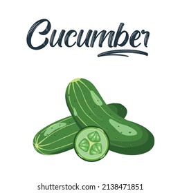 Vector realistic cucumber with green stem leaves and flowers. Organic vegetable package design element. Healthy fresh cucumber slices with haulm. Agricultural product, seeds design.