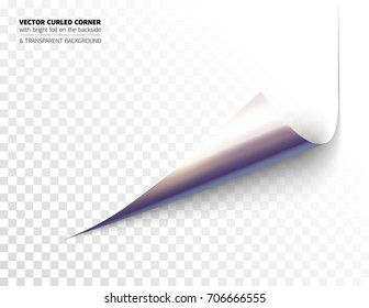 Vector realistic curled corner
