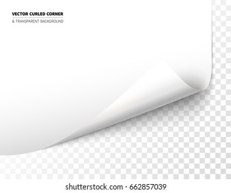 Vector realistic curled corner with bright reflection foil on the backside and shadow. Transparent background realistic vector illustration.