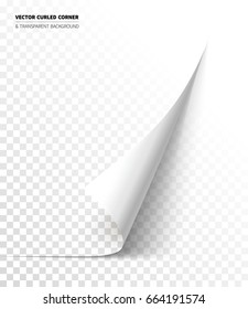 Vector realistic curled corner with bright reflection foil on the backside and shadow. Transparent background realistic vector illustration.