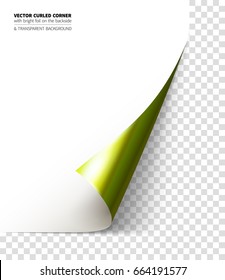 Vector realistic curled corner with bright reflection foil on the backside and shadow. Transparent background realistic vector illustration.