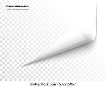 Vector realistic curled corner with bright reflection foil on the backside and shadow. Transparent background realistic vector illustration.