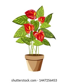 Vector realistic detailed house plant for interior design and decoration.Tropical plant for interior decor of home or office.