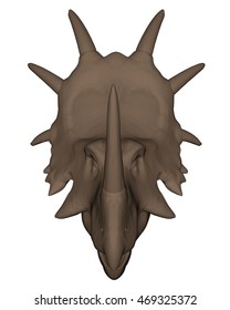 vector of realistic dinosaur head 3d isolated