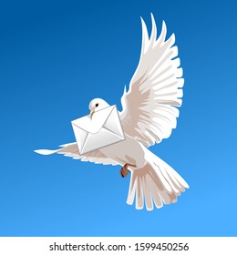 vector realistic dove mail sky