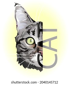 vector realistic drawing of the cat's head