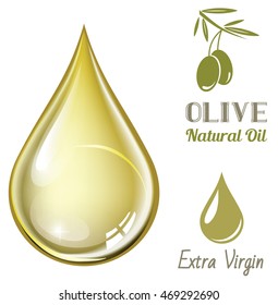 Vector realistic drop of olive oil and set of olive labels