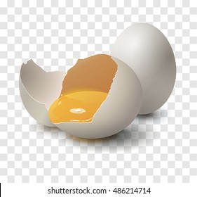 Vector realistic Egg on transparent background.
