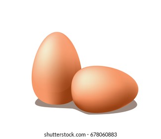 vector realistic  eggs. Isolated  on white background.