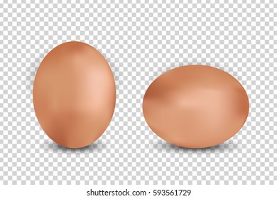 Vector realistic eggs on the transparent background. Concept of Happy Easter
