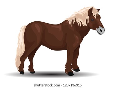 vector realistic exmoor pony horse. vector of horse breeds collection