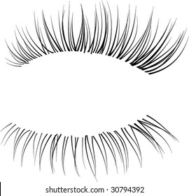 Vector realistic eyelash texture. 