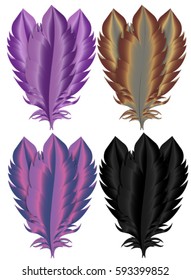 Vector realistic feather set