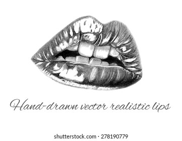 Vector realistic female lips. Pencil black and white illustration