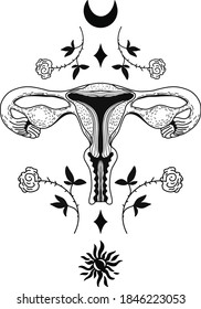 Vector realistic female reproductive system. Eps 10 illustration can be used for party invitation, design template, greeting card, patterns fill, posters,logo, tattoo, branding. Design element 