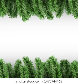 Vector realistic fir branches on white background. Copy space.