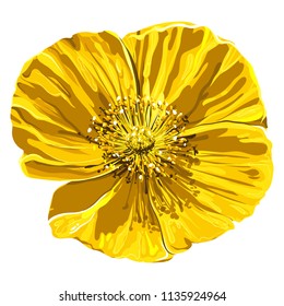 Vector realistic flower close-up. Floral isolated on white background.  Spring or summer design element. 