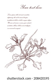 Vector realistic flower vintage postcard with place for your text