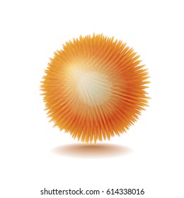 Vector realistic fluffy orange sphere. Furry soft round 3d isolated object. Fashion trend pompon style element