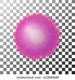 Vector realistic fluffy sphere. Furry soft round 3d isolated object. Fashion trend pink pompon style element