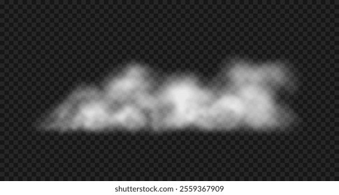 Vector realistic fluffy steam cloud, fog, haze or smoke. White foggy cloud isolated on transparent background