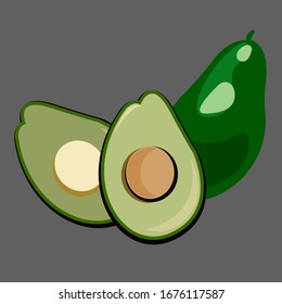 Vector realistic fresh avocado fruit. Whole and half cut avocado.