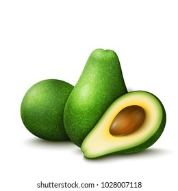 Vector realistic fresh fruit avocado isolated on white background. Whole and cut in half avocado with pit