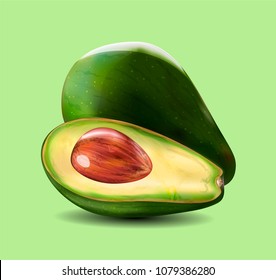 Vector realistic fresh fruit avocado.  Whole and cut in half avocado with pit