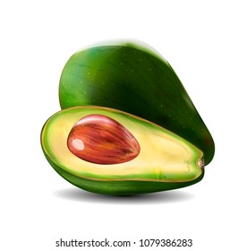 Vector realistic fresh fruit avocado.  Whole and cut in half avocado with pit