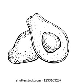 Vector realistic fresh fruit avocado isolated on white background. Whole and cut in half avocado with pit