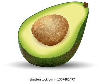 Vector realistic fresh fruit avocado isolated on white background. 3d vector illustration for design banner or promotion poster mock up eps10