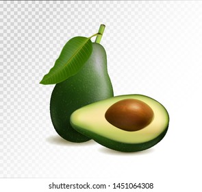 Vector realistic fresh fruit avocado isolated on transparent background. Whole and cut in half avocado with pit. 3D illustraton