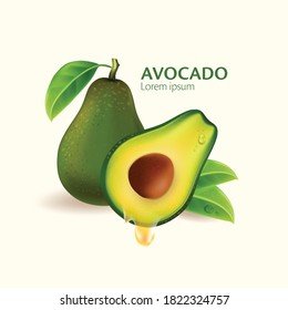 Vector realistic fresh fruit avocado