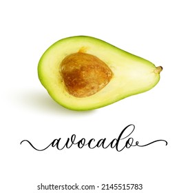 Vector realistic fresh fruit avocado isolated on white background with calligraphy.